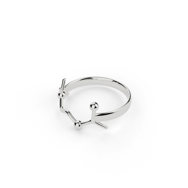 acetylcholine ring | silver acetylcholine ring | silver