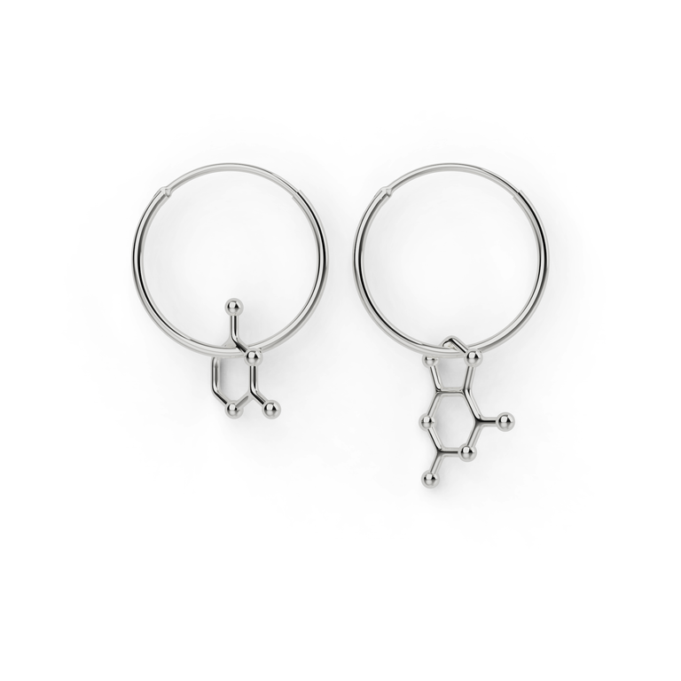 cytosine - guanine earrings | silver cytosine - guanine earrings | silver