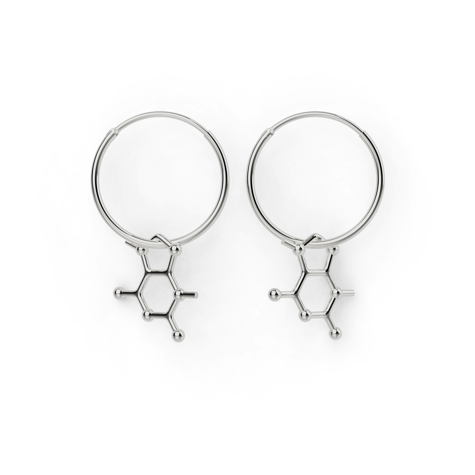 theobromine earrings | silver theobromine earrings | silver