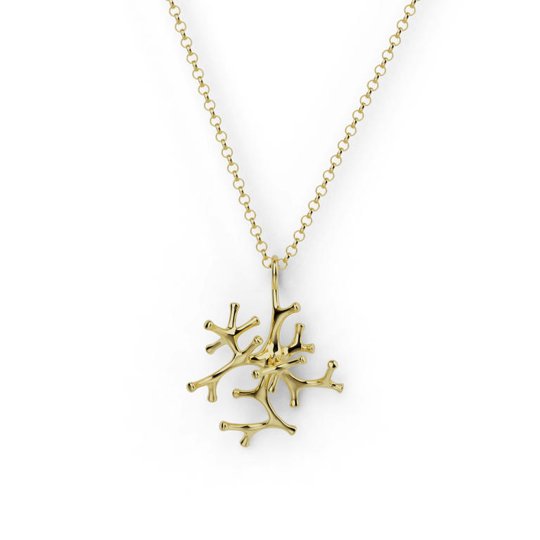 Gold vermeil astrocyte necklace on a white background, showcasing its intricate star-shaped cell design, inspired by astrocytes. Gold vermeil astrocyte necklace on a white background, showcasing its intricate star-shaped cell design, inspired by astrocytes.