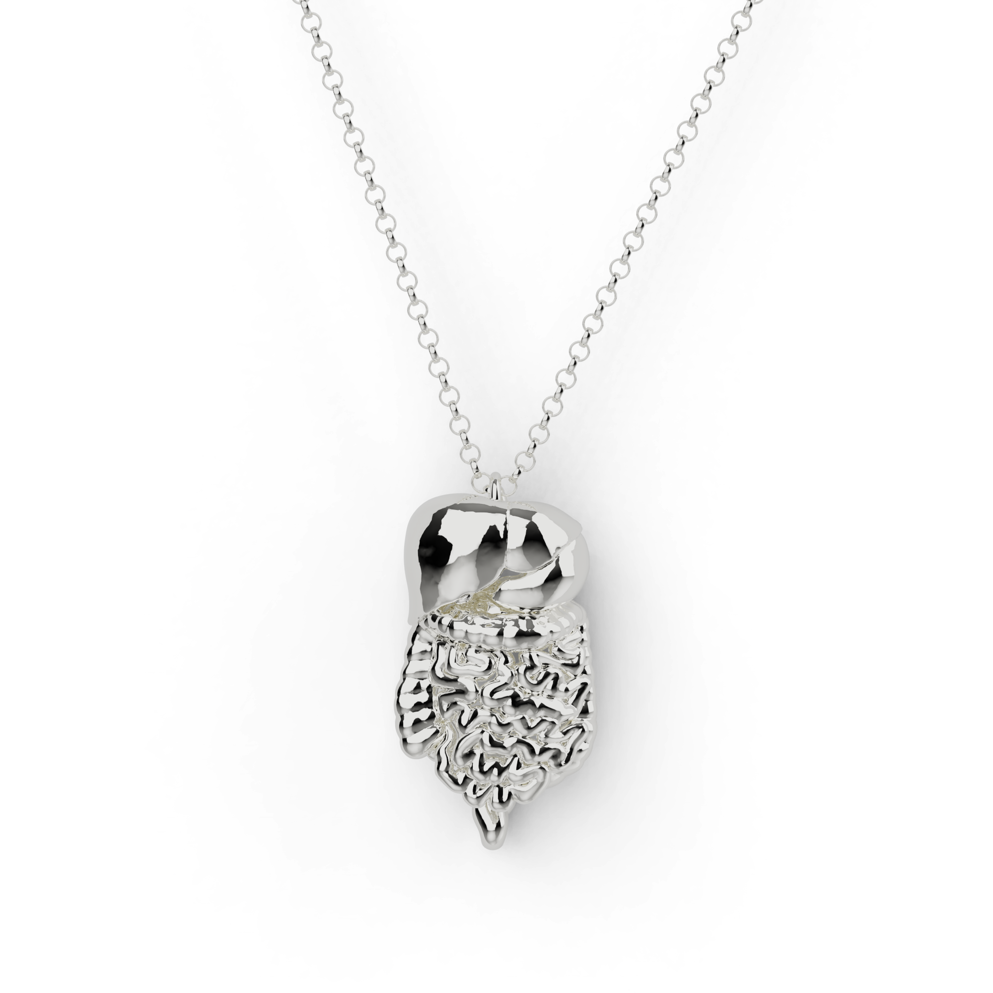 Close-up of a sterling silver gastrointestinal tract necklace, showcasing intricate design inspired by human anatomy. Close-up of a sterling silver gastrointestinal tract necklace, showcasing intricate design inspired by human anatomy.
