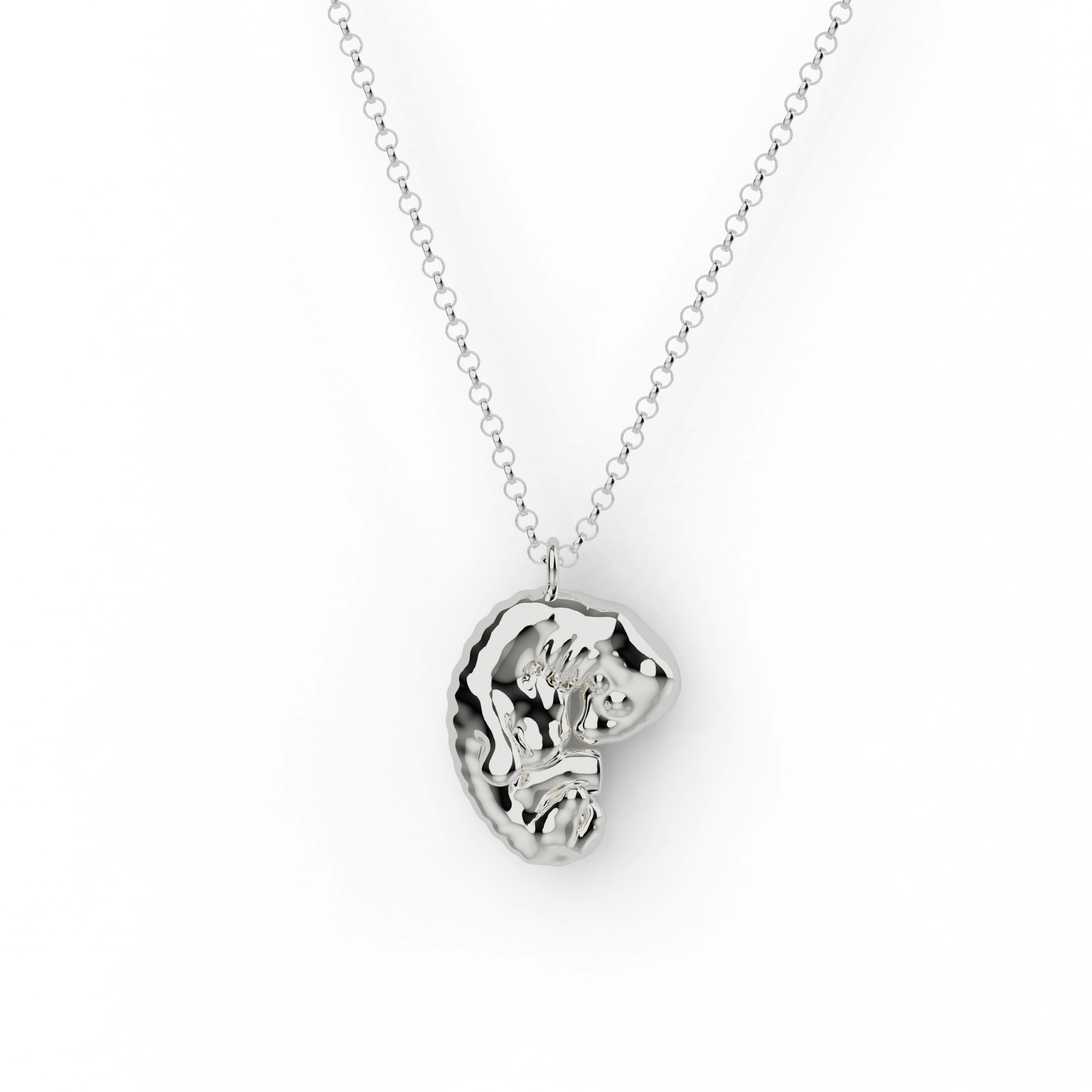 Sterling silver embryo necklace on a delicate chain – a science-inspired jewelry piece celebrating human development. Sterling silver embryo necklace on a delicate chain – a science-inspired jewelry piece celebrating human development.