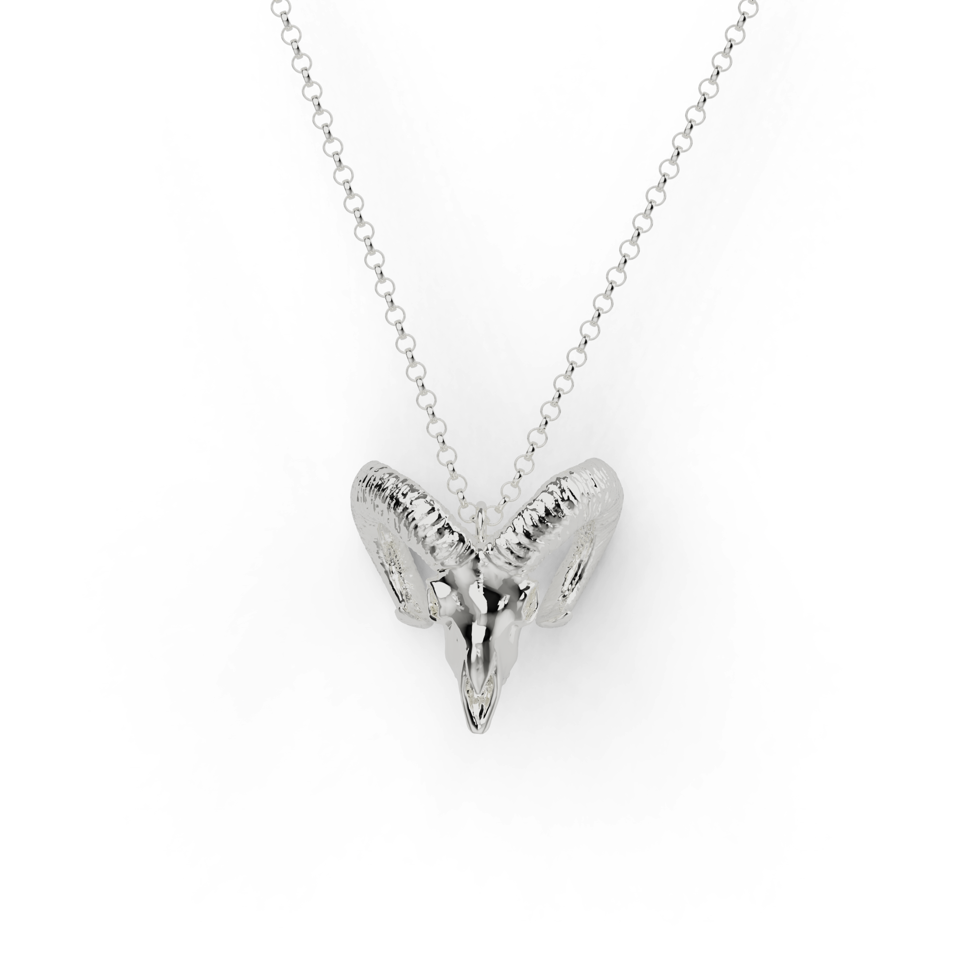 Close-up of sterling silver ram skull necklace on white background – ram skull necklace, science jewelry, anatomical silver pendant Close-up of sterling silver ram skull necklace on white background – ram skull necklace, science jewelry, anatomical silver pendant