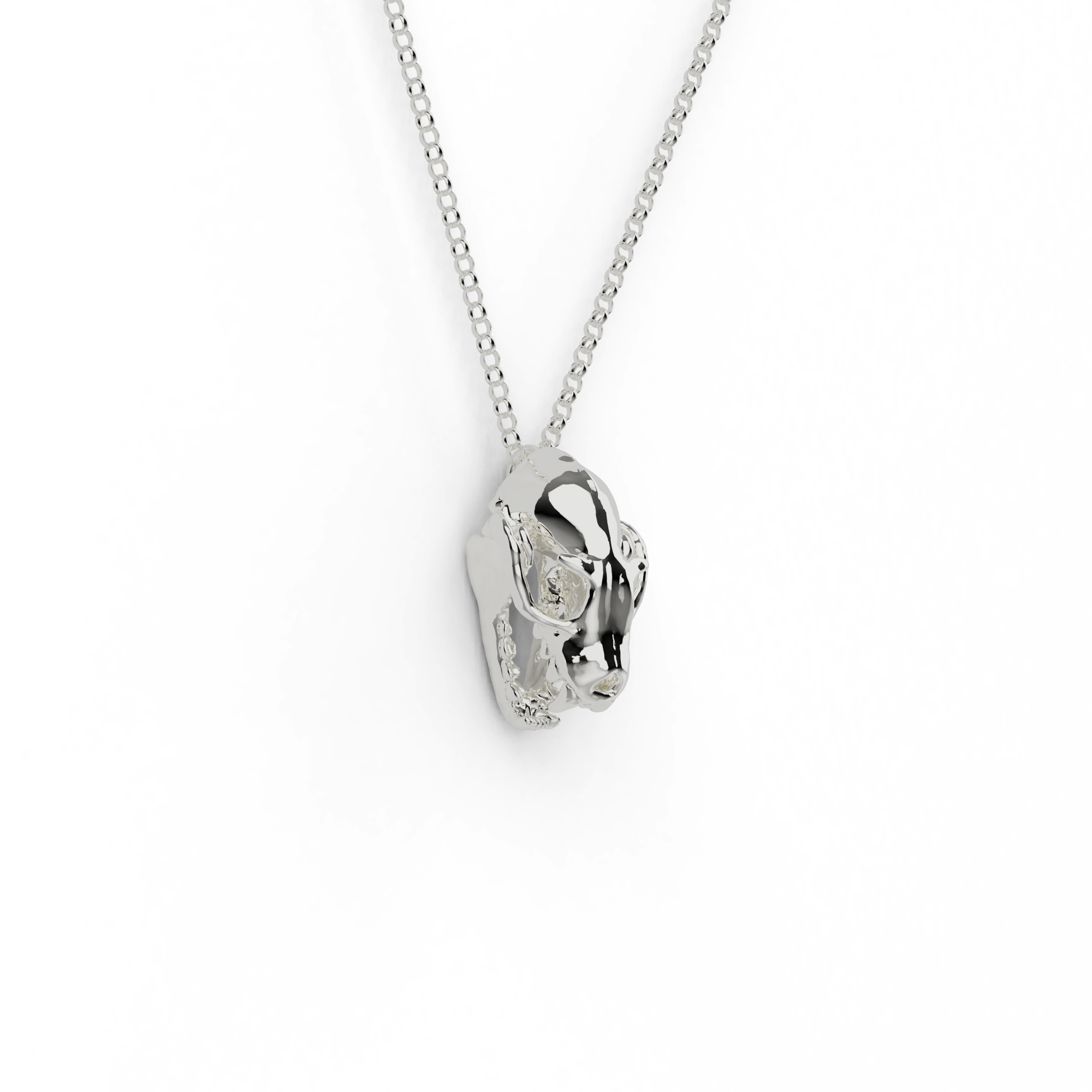 Close-up of a silver fruit bat skull necklace pendant on a chain – science-inspired jewelry for biology and bat enthusiasts. Close-up of a silver fruit bat skull necklace pendant on a chain – science-inspired jewelry for biology and bat enthusiasts.