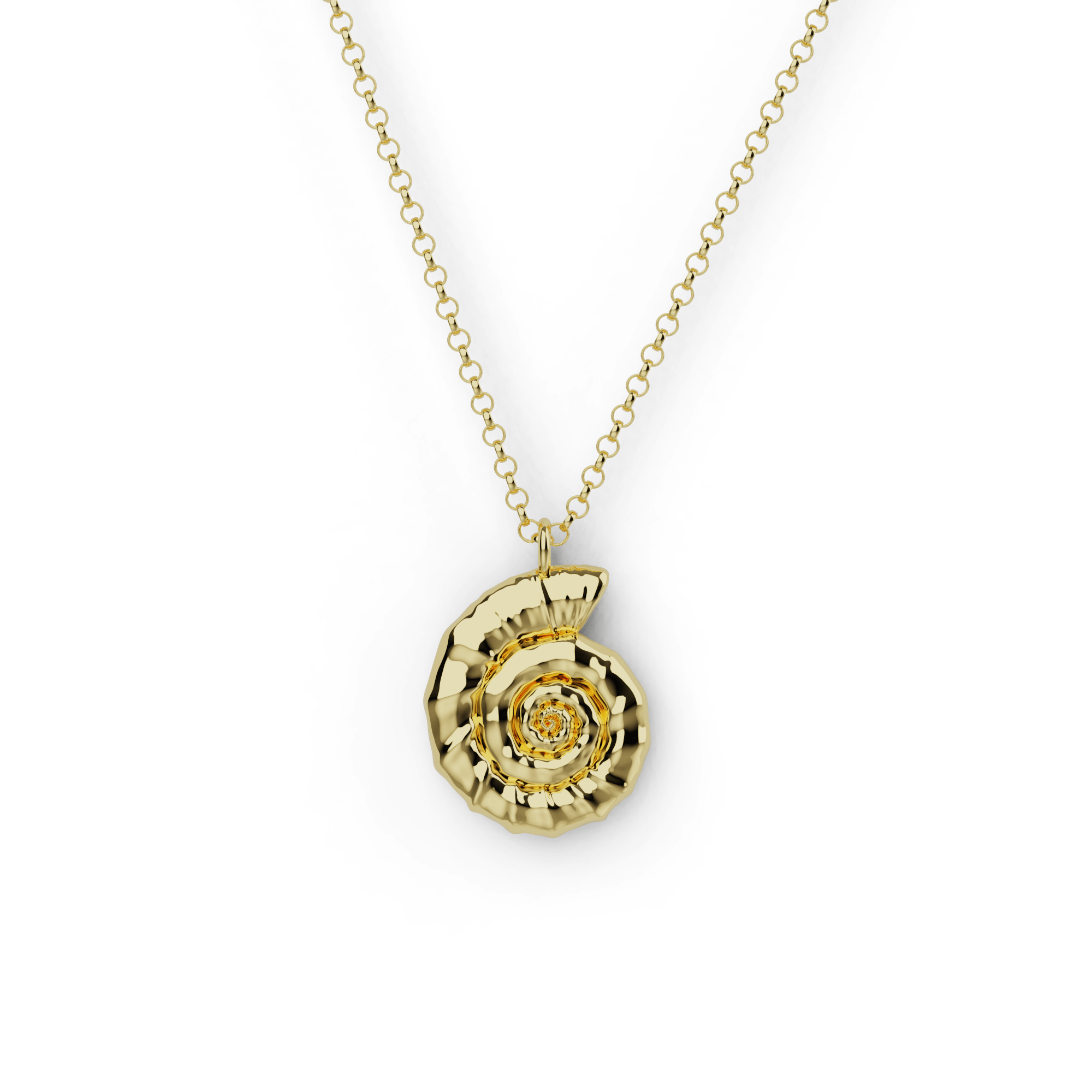 Gold vermeil Ammonite Necklace showcasing a fossil-inspired design for a touch of ancient elegance. Gold vermeil Ammonite Necklace showcasing a fossil-inspired design for a touch of ancient elegance.