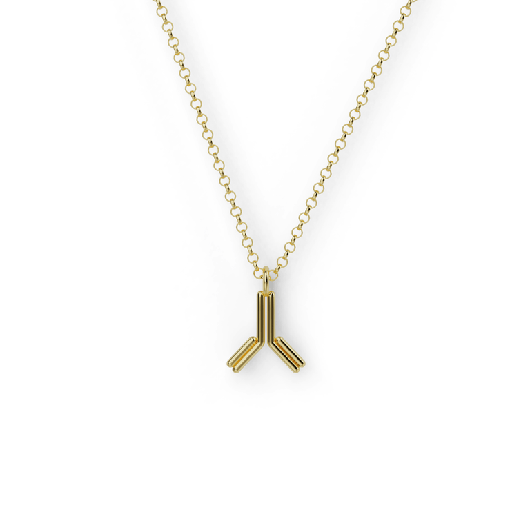 Gold vermeil antibody necklace, crafted as a science-inspired tribute to the immune system. Gold vermeil antibody necklace, crafted as a science-inspired tribute to the immune system.