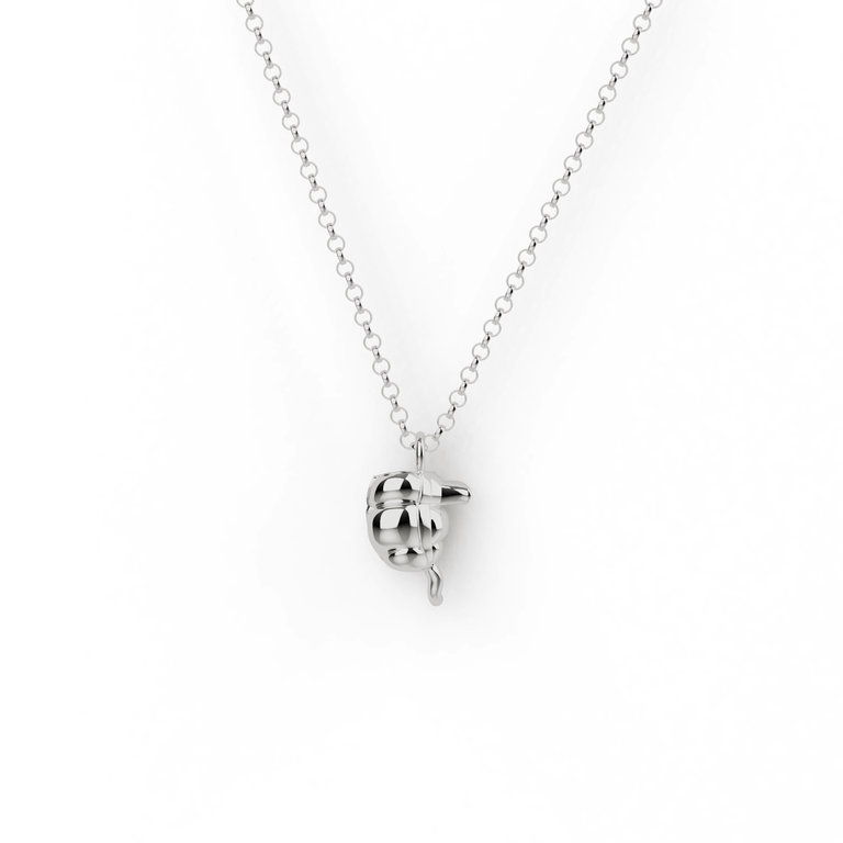 Silver appendix necklace on a delicate chain – a fun, science-inspired jewelry piece celebrating human biology. Silver appendix necklace on a delicate chain – a fun, science-inspired jewelry piece celebrating human biology.