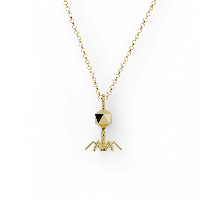 Gold vermeil bacteriophage necklace - stylish science-inspired jewelry. Gold vermeil bacteriophage necklace - stylish science-inspired jewelry.