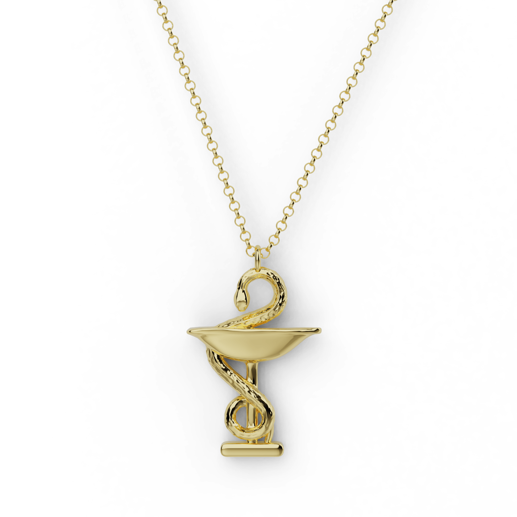 Gold vermeil Bowl of Hygieia necklace featuring the classic serpent and chalice pharmacy symbol, a perfect gift for science and medical professionals. Gold vermeil Bowl of Hygieia necklace featuring the classic serpent and chalice pharmacy symbol, a perfect gift for science and medical professionals.