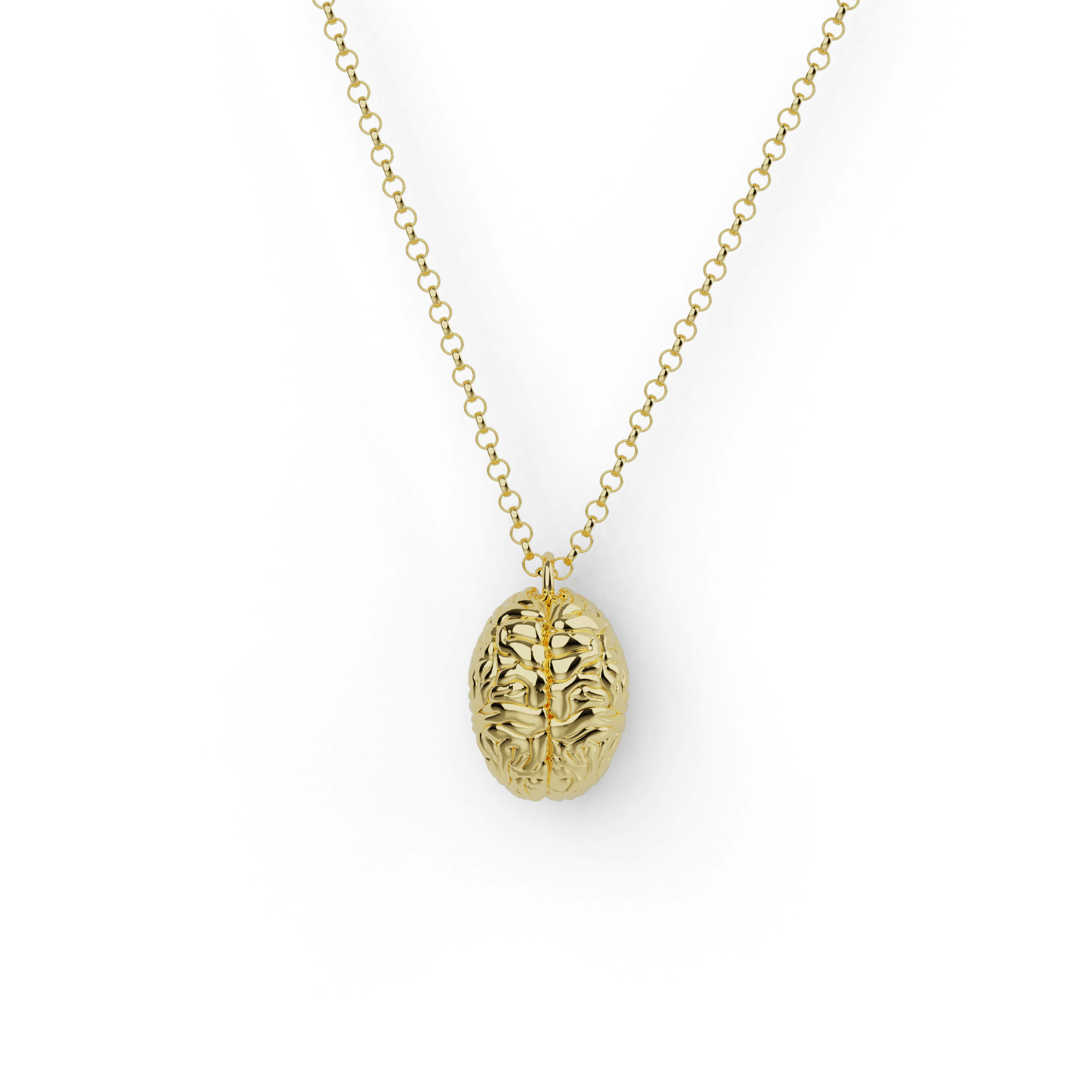 Close-up view of a gold vermeil brain necklace, featuring intricate brain design details, perfect for science lovers and intellectuals. Close-up view of a gold vermeil brain necklace, featuring intricate brain design details, perfect for science lovers and intellectuals.