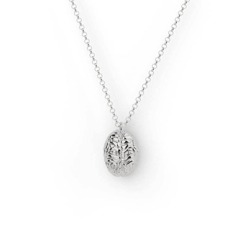 Sterling silver brain necklace, detailed brain-shaped pendant for science lovers. Sterling silver brain necklace, detailed brain-shaped pendant for science lovers.
