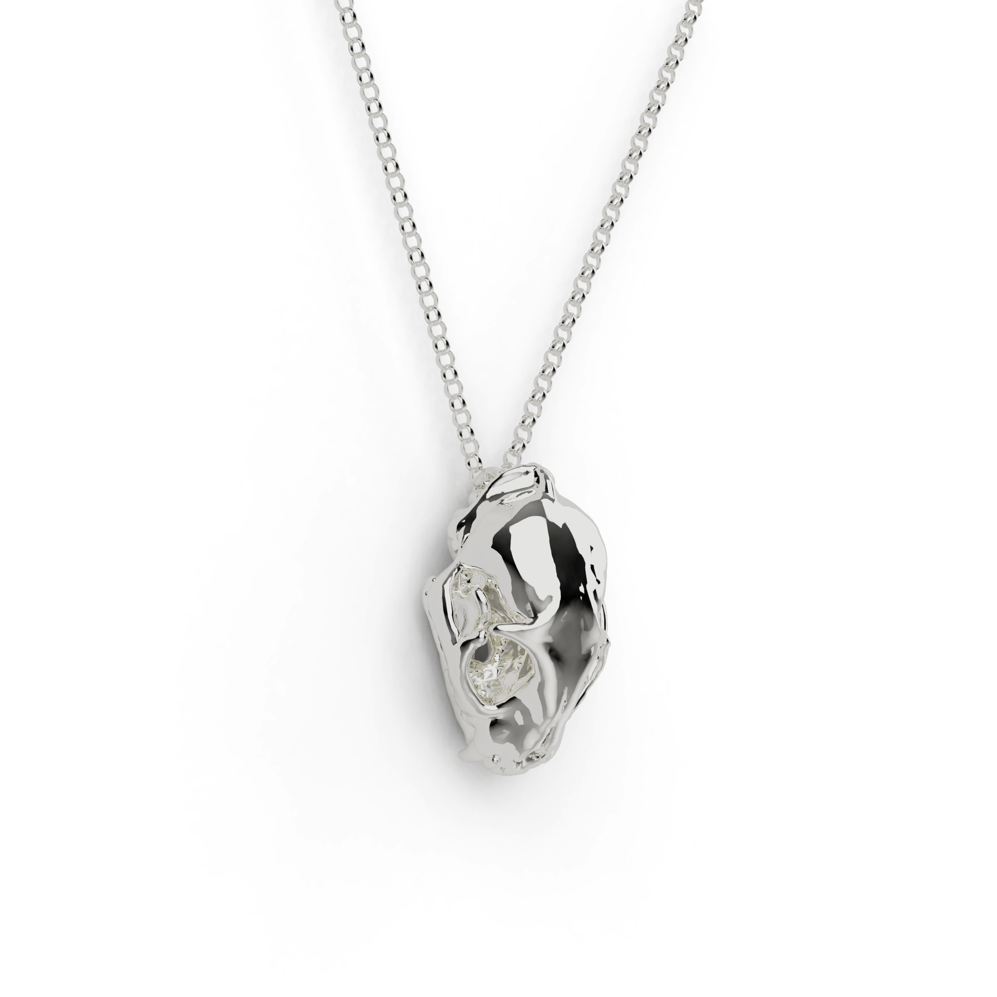 Close-up of a silver cat skull necklace, a science-inspired jewelry piece for cat lovers. Close-up of a silver cat skull necklace, a science-inspired jewelry piece for cat lovers.