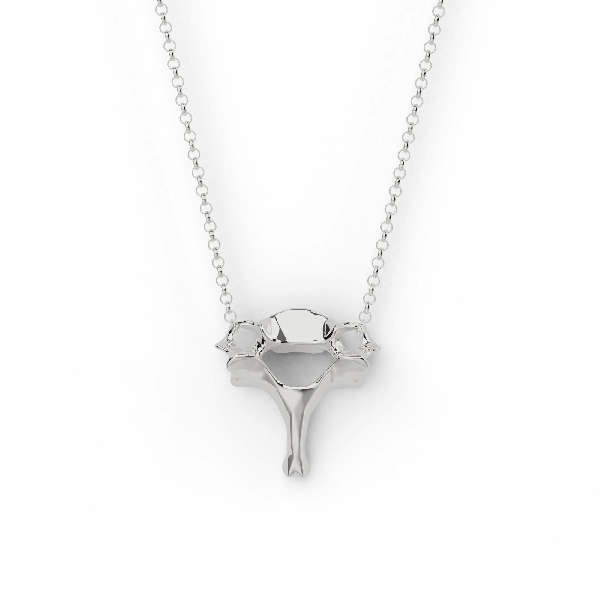 Cervical vertebra necklace in sterling silver on a chain - inspired by human anatomy, highlighting craftsmanship and elegance. Cervical vertebra necklace in sterling silver on a chain - inspired by human anatomy, highlighting craftsmanship and elegance.