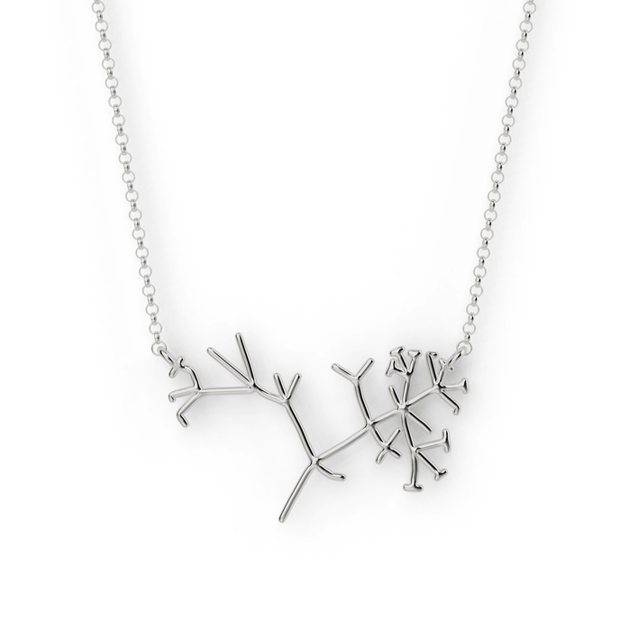 Darwin’s phylogenetic tree necklace in sterling silver, featuring intricately crafted branches symbolizing species evolution. Darwin’s phylogenetic tree necklace in sterling silver, featuring intricately crafted branches symbolizing species evolution.