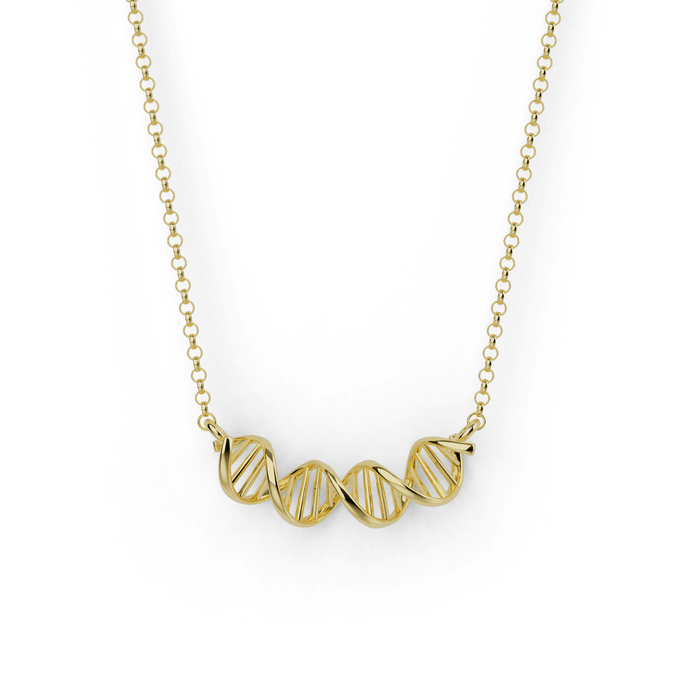 18K gold vermeil DNA necklace, science-inspired double helix jewelry. 18K gold vermeil DNA necklace, science-inspired double helix jewelry.