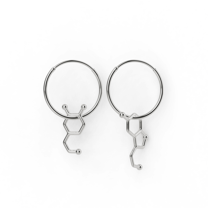 dopamine serotonin earrings | silver dopamine serotonin earrings | silver