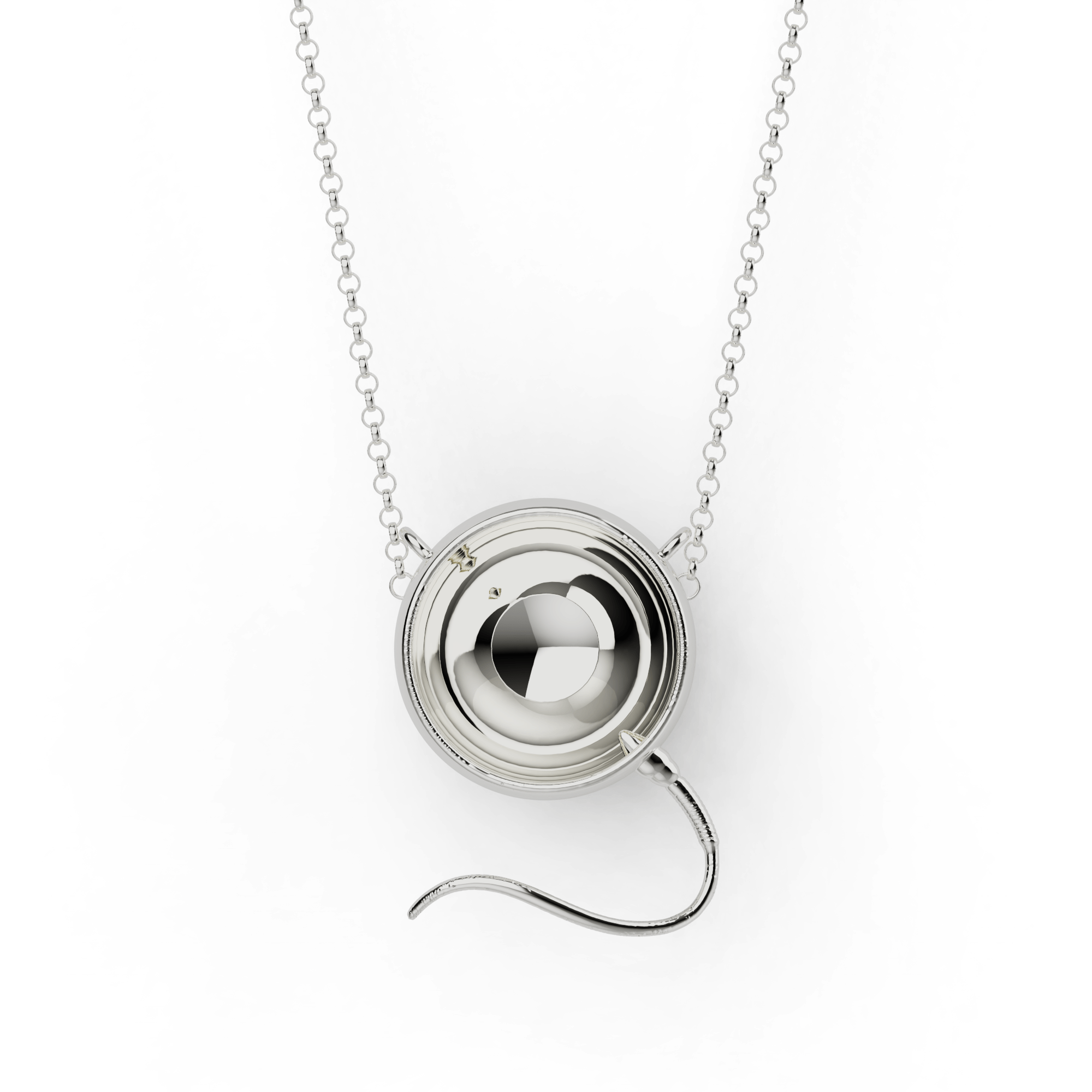 Sterling silver egg and sperm necklace – a science-inspired jewelry piece symbolizing the start of life. Sterling silver egg and sperm necklace – a science-inspired jewelry piece symbolizing the start of life.