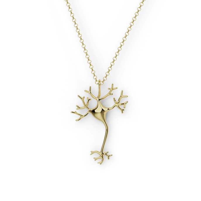 Close-up of a neuron necklace in gold vermeil, showcasing intricate neural network design, symbolizing the brain’s connectivity. Close-up of a neuron necklace in gold vermeil, showcasing intricate neural network design, symbolizing the brain’s connectivity.
