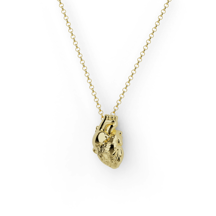 18K gold vermeil anatomically accurate heart necklace on chain - front view. 18K gold vermeil anatomically accurate heart necklace on chain - front view.