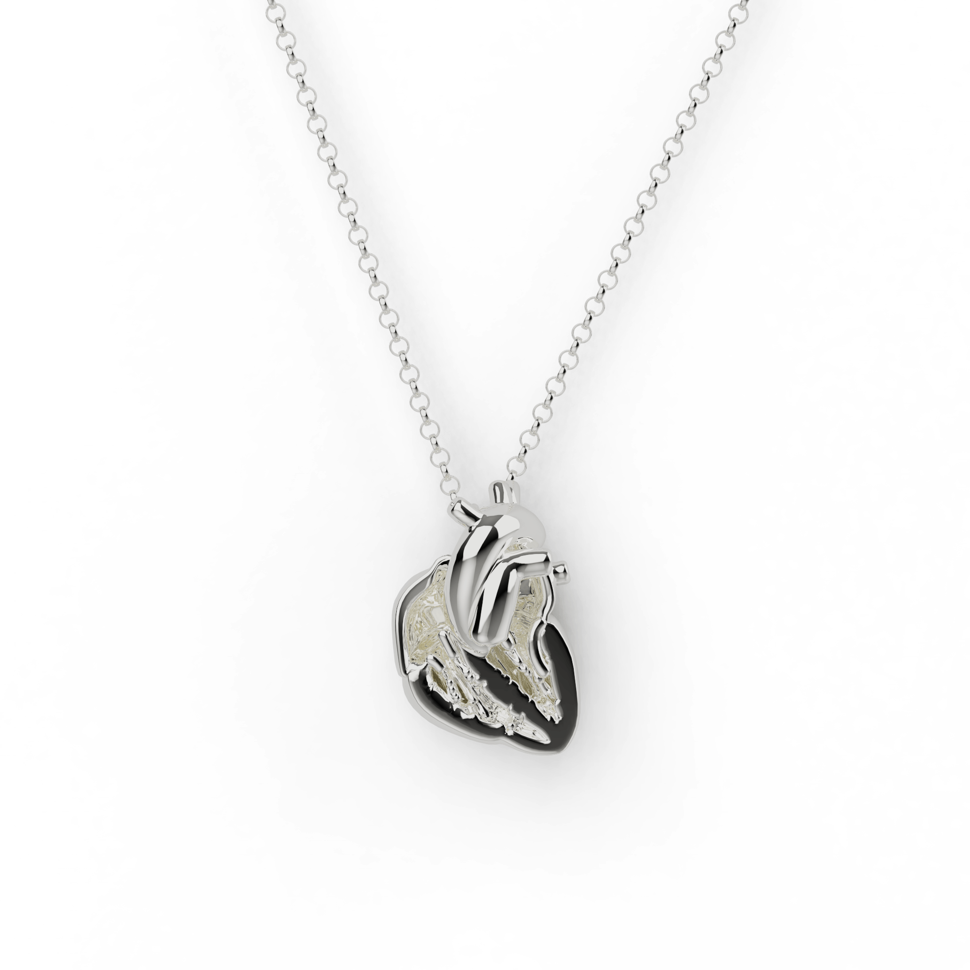 Silver heart section necklace featuring an anatomically accurate heart cross-section, suspended on a delicate chain. Silver heart section necklace featuring an anatomically accurate heart cross-section, suspended on a delicate chain.