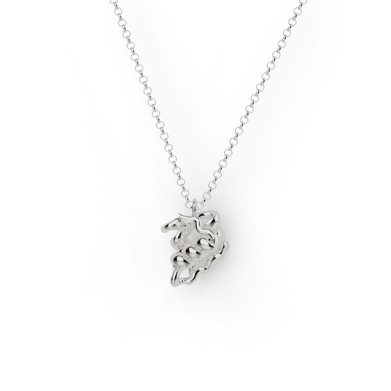 Sterling silver insulin necklace, diabetes awareness jewelry with molecular design. Sterling silver insulin necklace, diabetes awareness jewelry with molecular design.