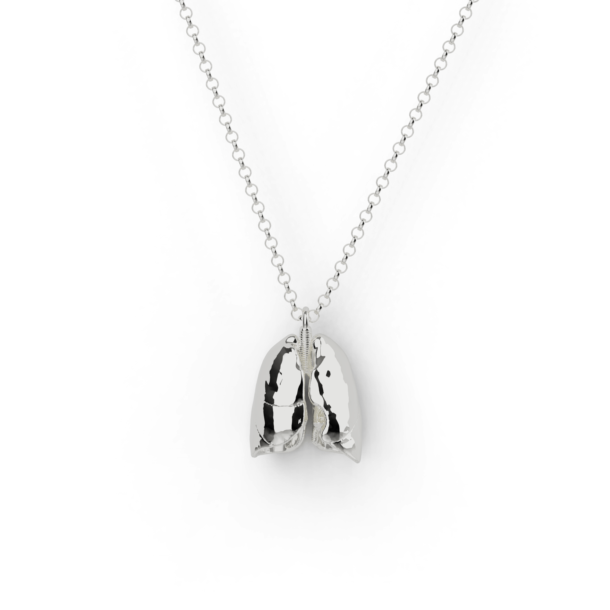 Close-up of lungs necklace in silver on a white background. Close-up of lungs necklace in silver on a white background.