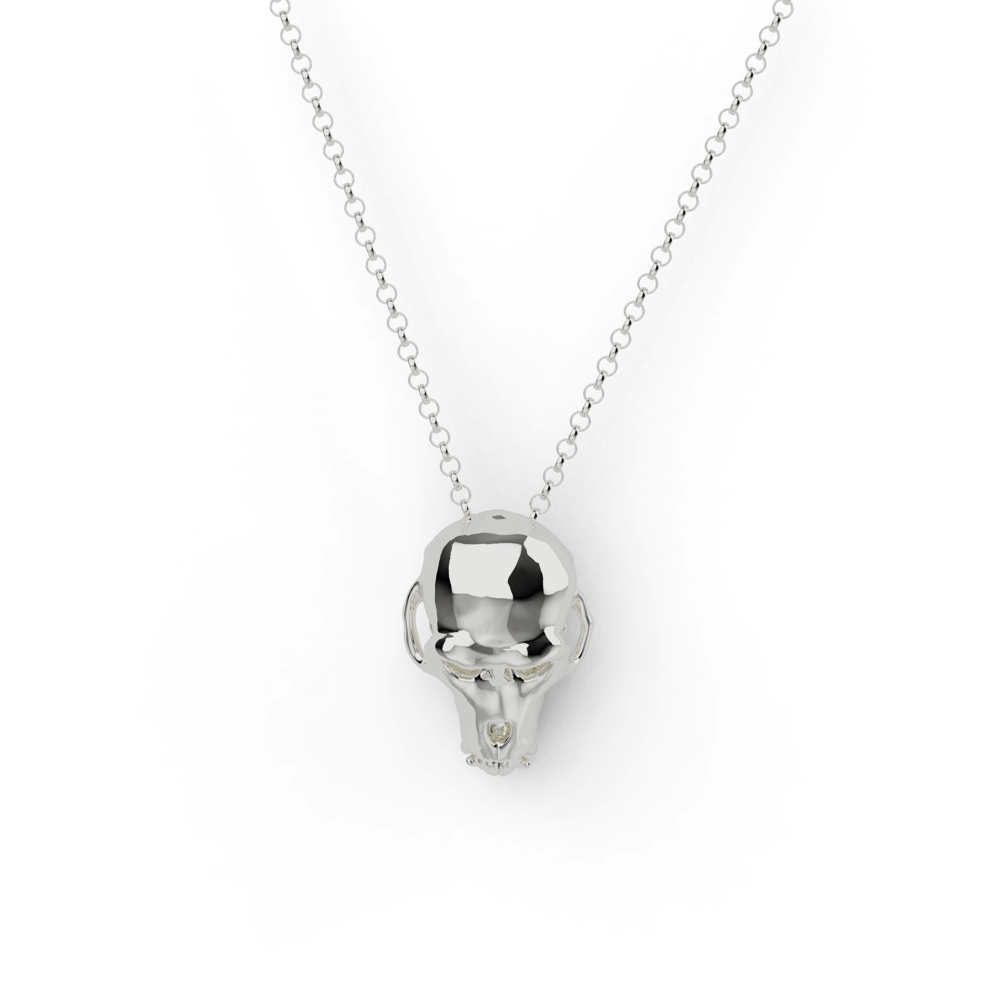 Close-up of a macaque skull necklace in silver, inspired by scientific research and medical history. Close-up of a macaque skull necklace in silver, inspired by scientific research and medical history.