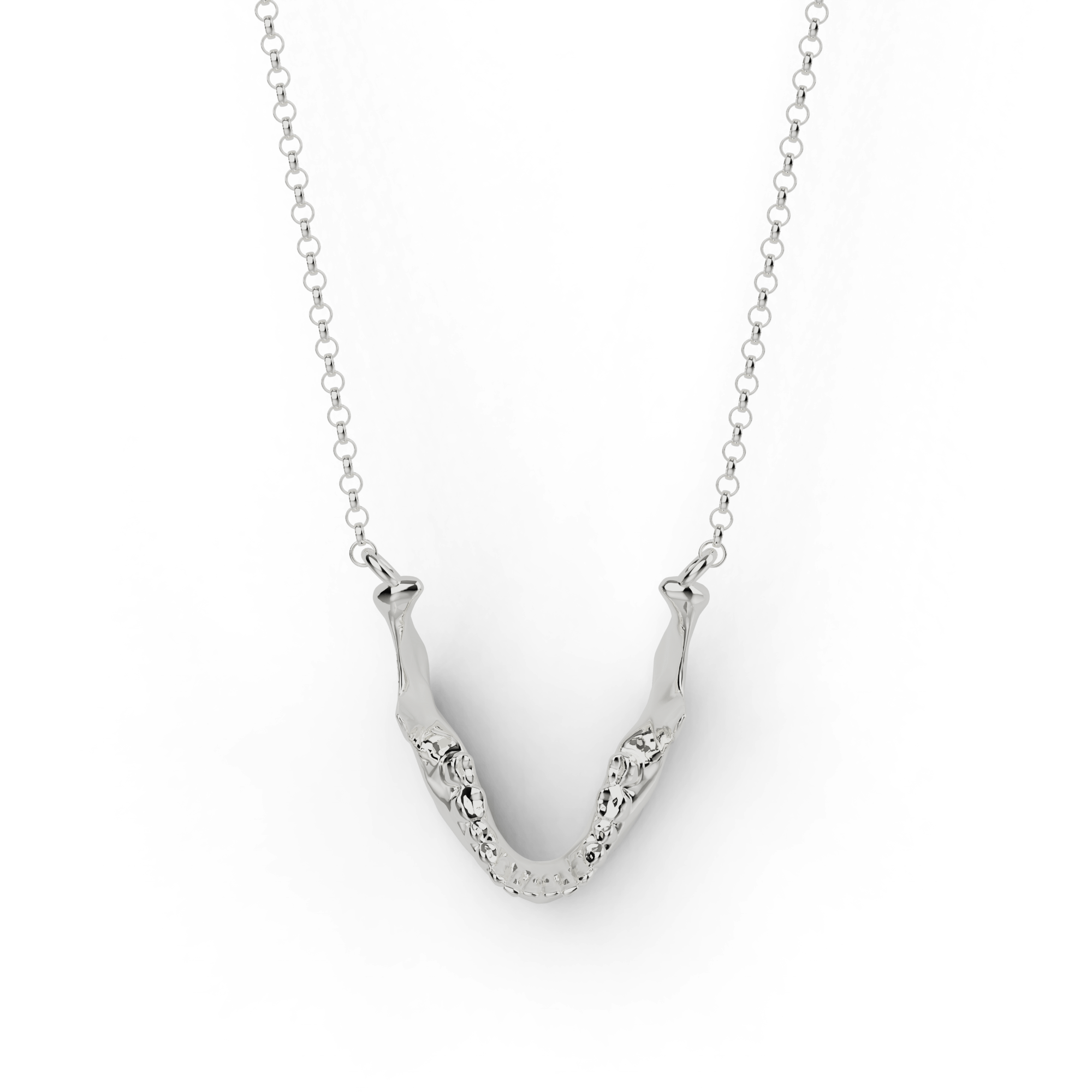 Close-up of a silver mandible necklace, inspired by human anatomy. Close-up of a silver mandible necklace, inspired by human anatomy.