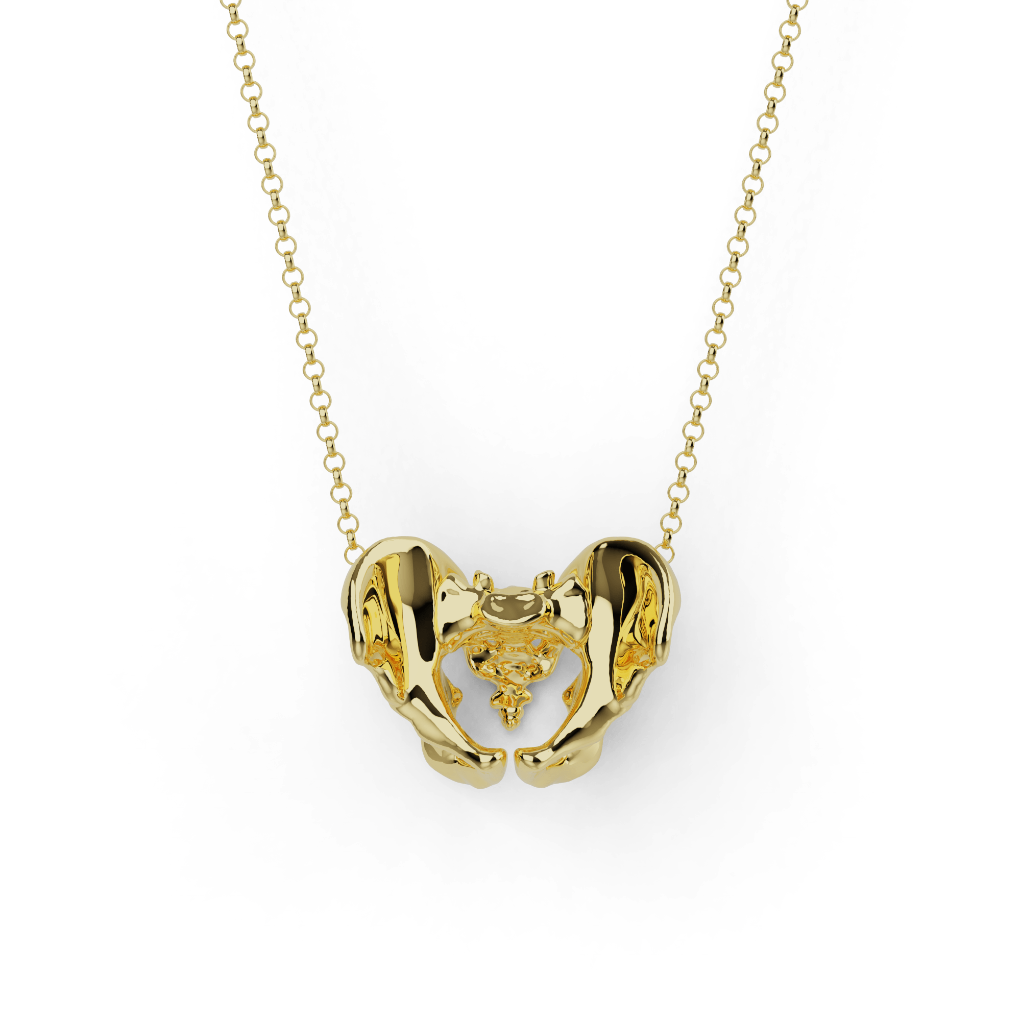Gold vermeil pelvis necklace, anatomically detailed design with elegant finish. Gold vermeil pelvis necklace, anatomically detailed design with elegant finish.