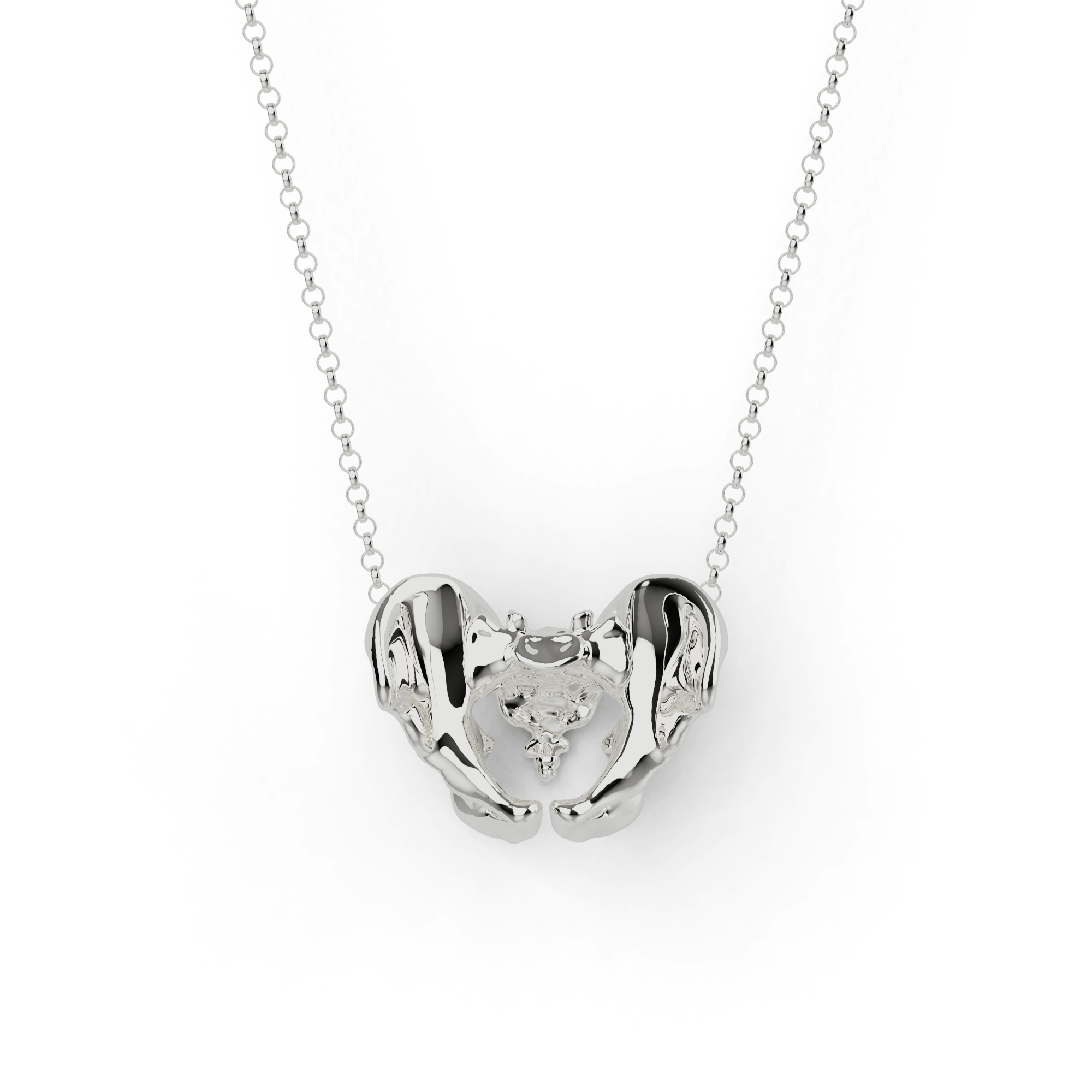 pelvis necklace | silver