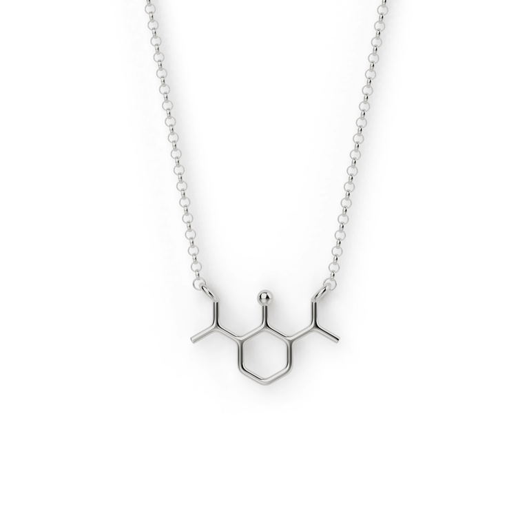Sterling silver propofol necklace showing molecular structure pendant on delicate chain – science-inspired jewelry gift for doctors and anesthesiologists. Sterling silver propofol necklace showing molecular structure pendant on delicate chain – science-inspired jewelry gift for doctors and anesthesiologists.