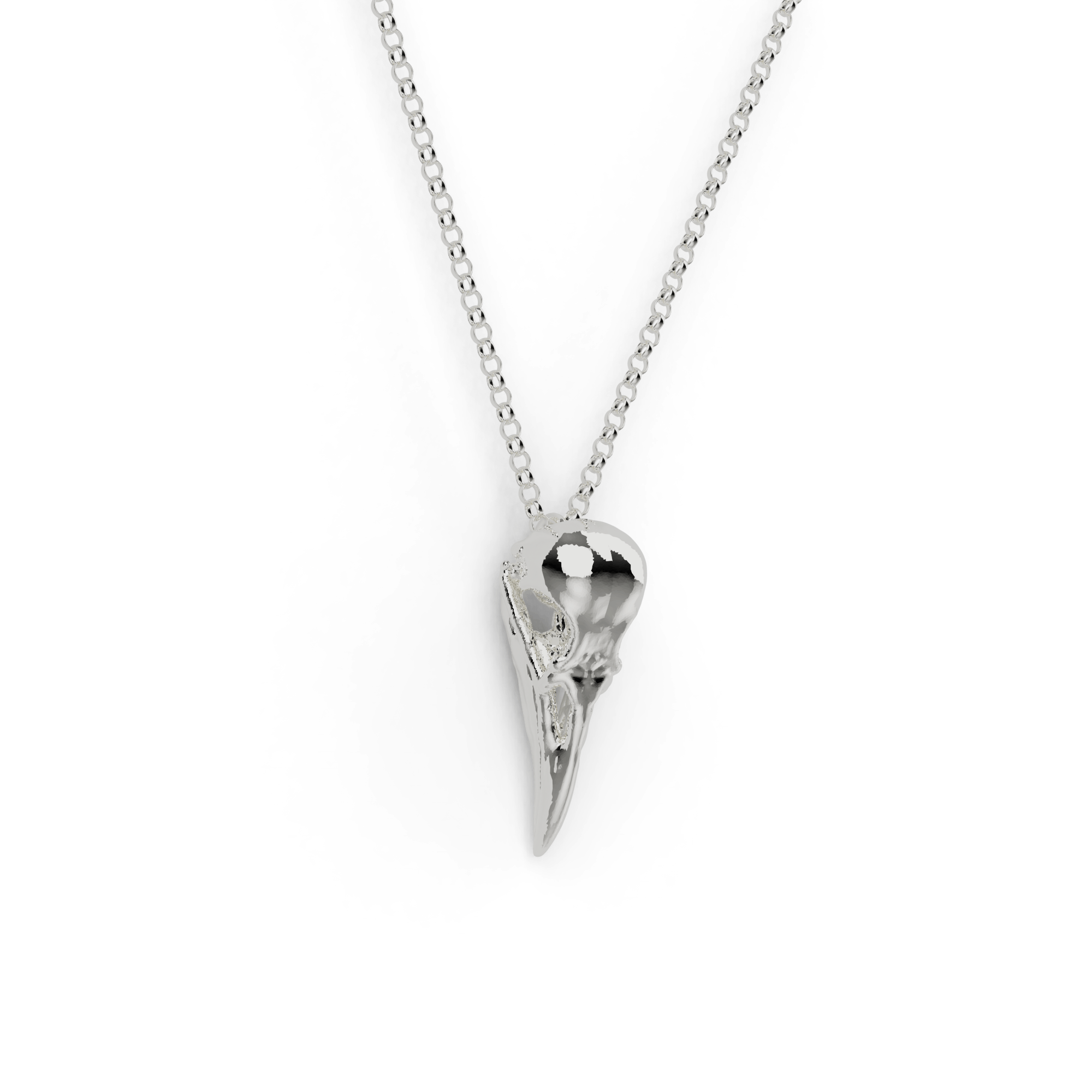 Close-up of a silver Raven Skull Necklace, showcasing intricate details of the skull design, perfect for avian enthusiasts and science lovers. Close-up of a silver Raven Skull Necklace, showcasing intricate details of the skull design, perfect for avian enthusiasts and science lovers.