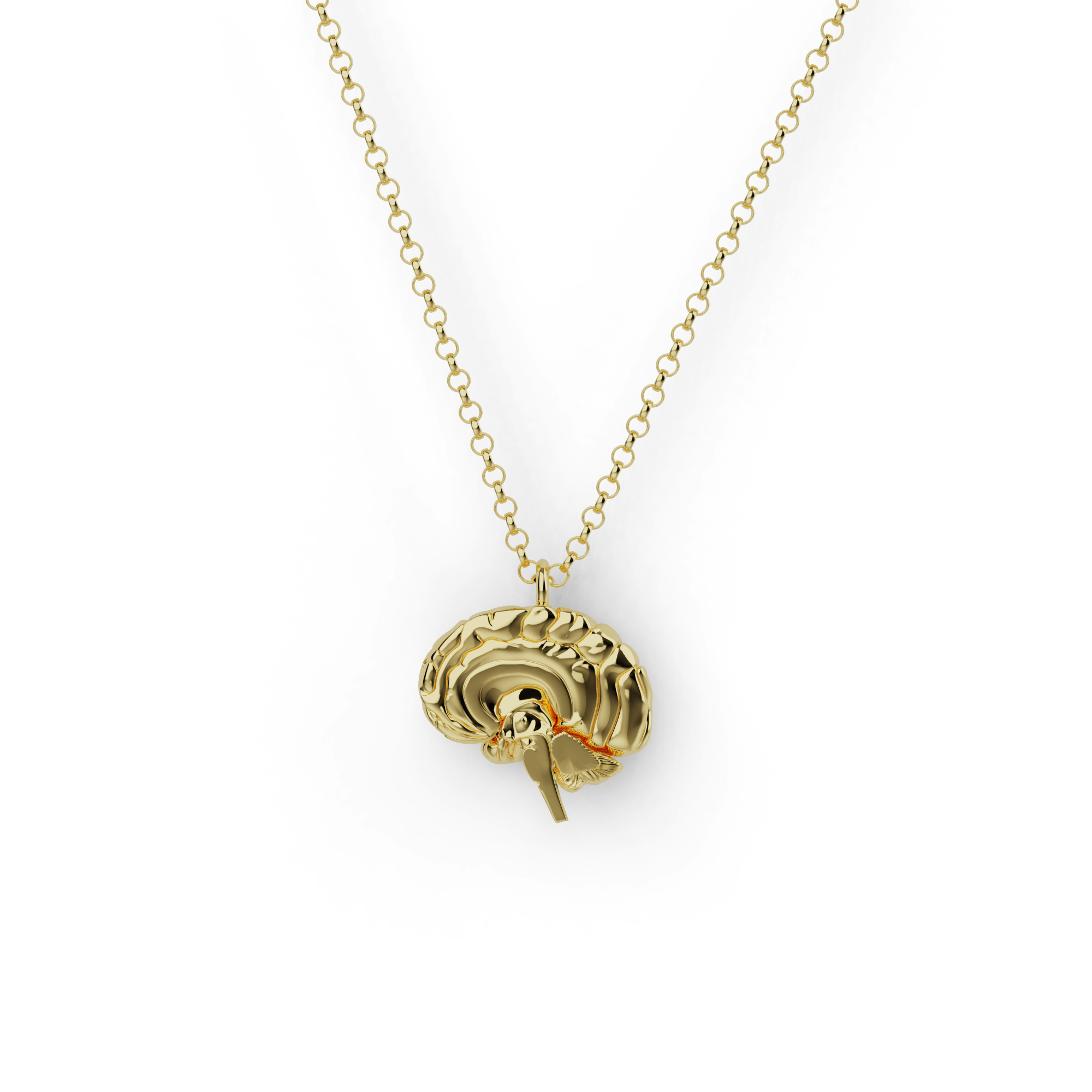 Gold vermeil sagittal brain necklace on a delicate chain, featuring an intricate brain cross-section. Gold vermeil sagittal brain necklace on a delicate chain, featuring an intricate brain cross-section.