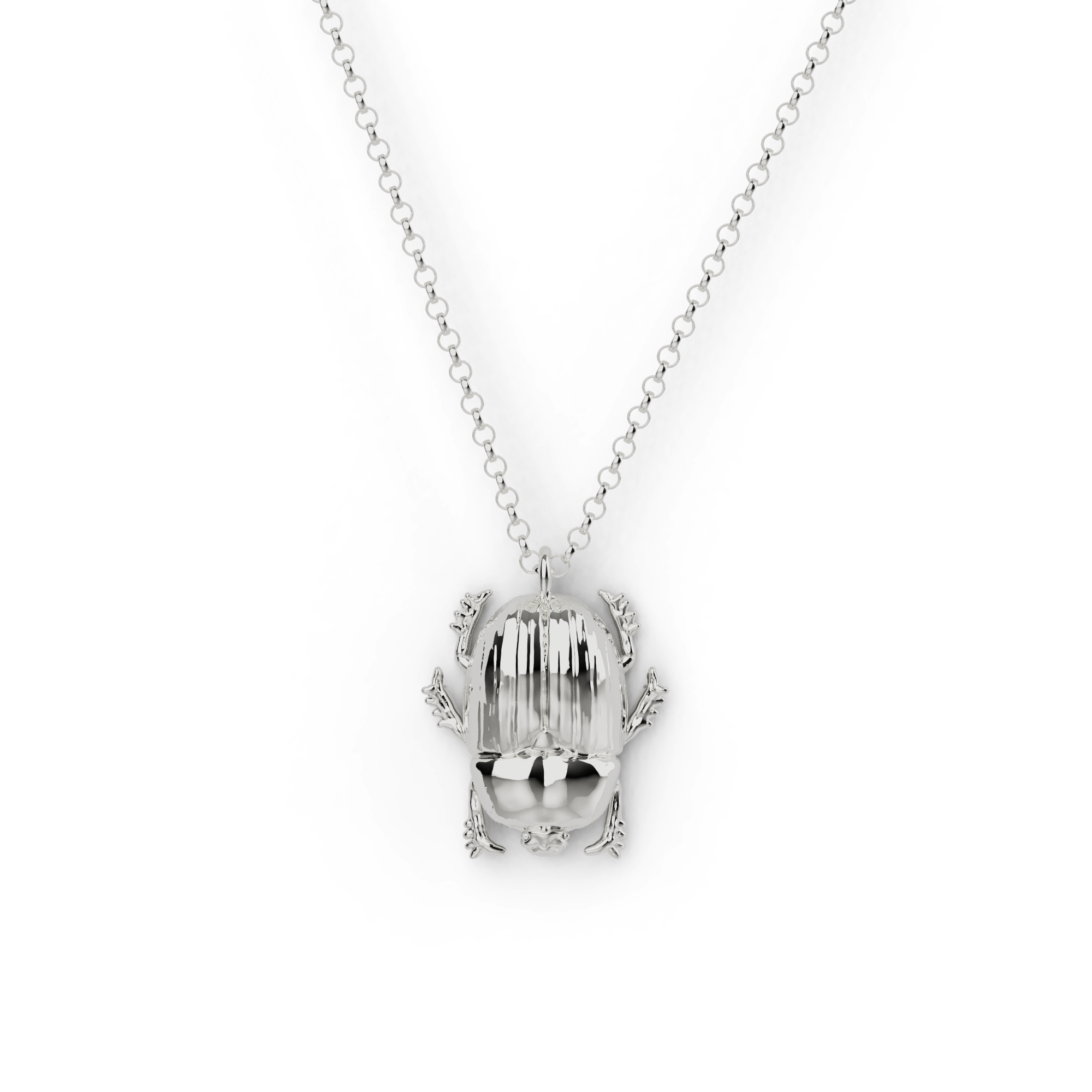 Close-up of a silver scarab beetle necklace, inspired by science and history. Close-up of a silver scarab beetle necklace, inspired by science and history.