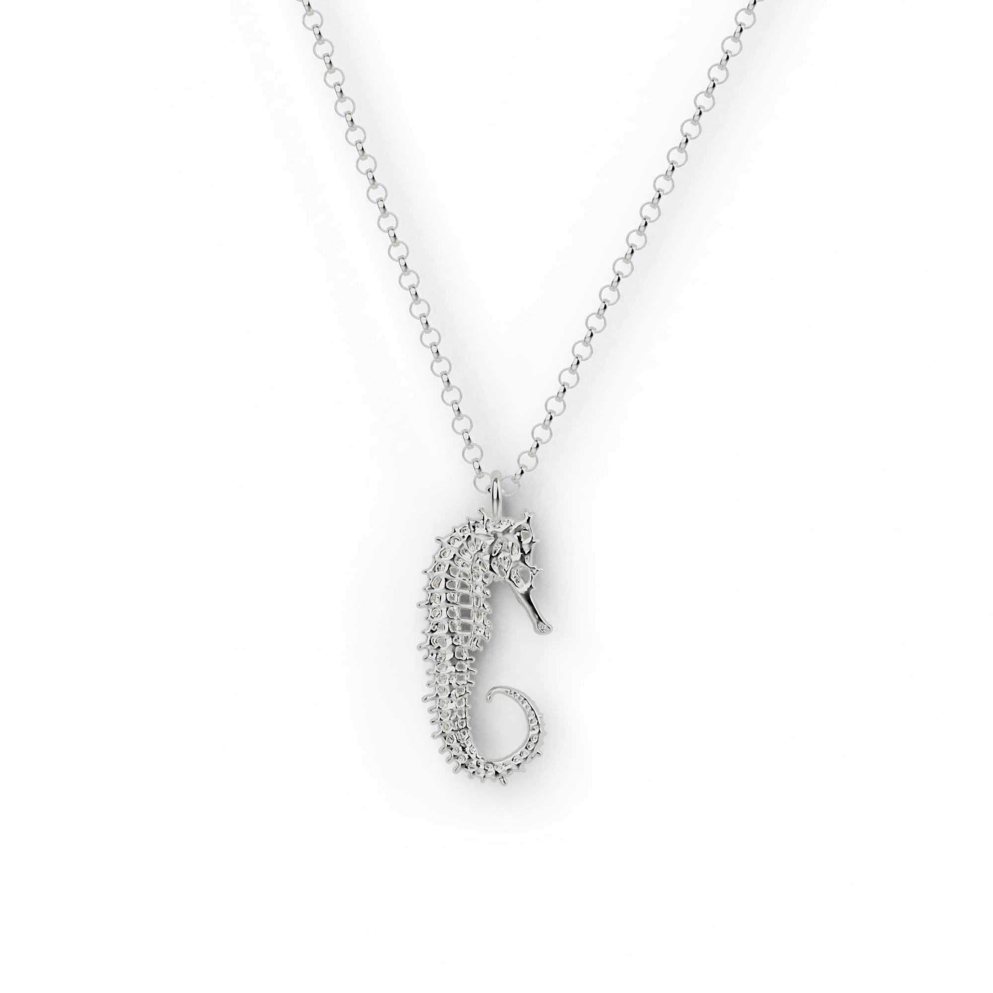 Close-up of a sterling silver seahorse skeleton necklace, perfect for ocean lovers and science enthusiasts. Close-up of a sterling silver seahorse skeleton necklace, perfect for ocean lovers and science enthusiasts.