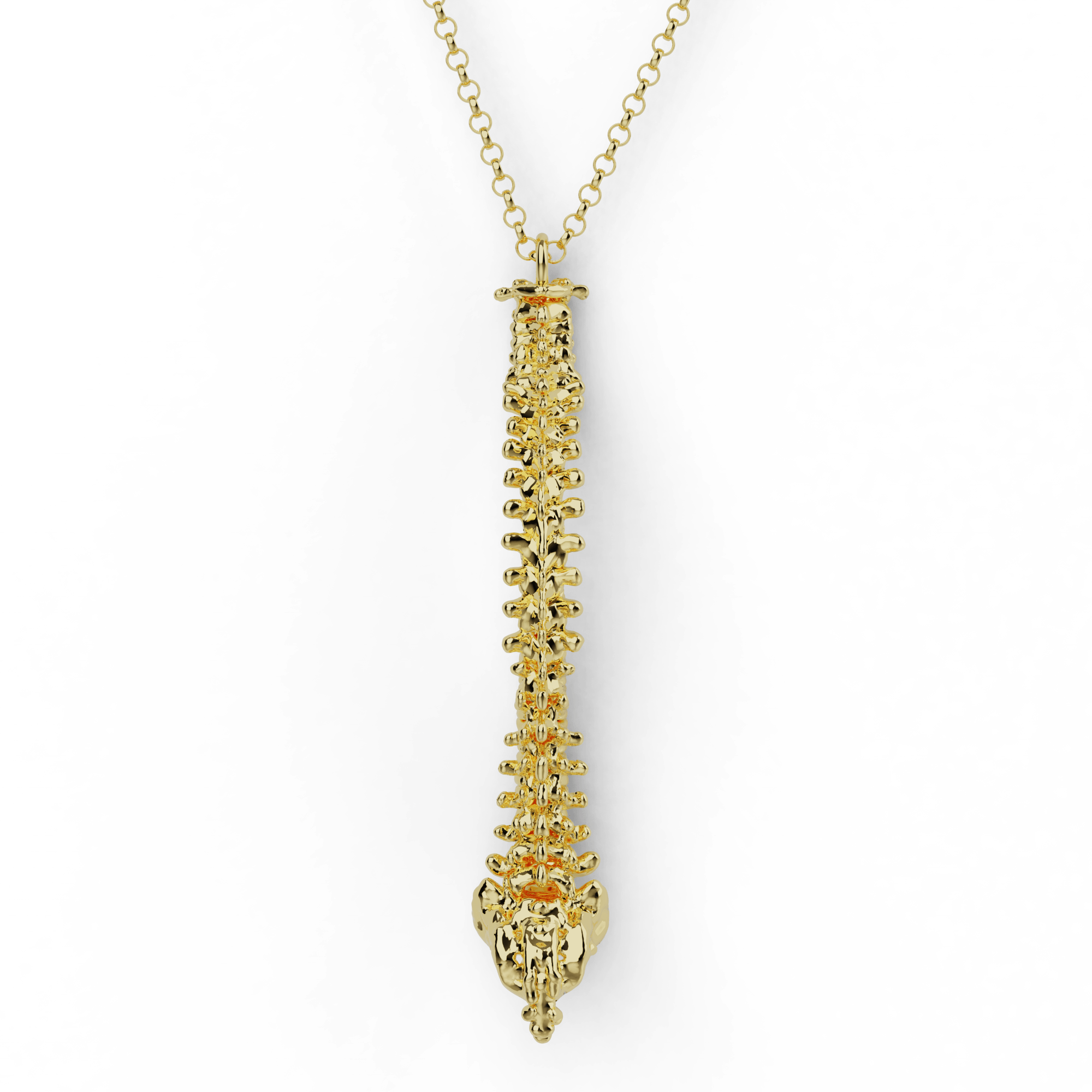 Gold vermeil spine necklace with detailed vertebrae design, ideal for science and anatomy lovers. Gold vermeil spine necklace with detailed vertebrae design, ideal for science and anatomy lovers.
