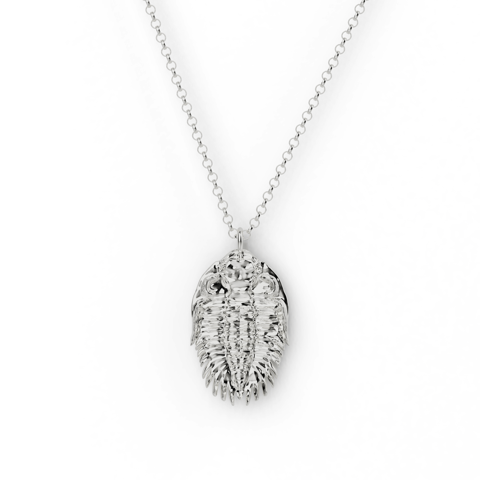 Close-up of a silver trilobite necklace, featuring intricate fossil-like details. Close-up of a silver trilobite necklace, featuring intricate fossil-like details.