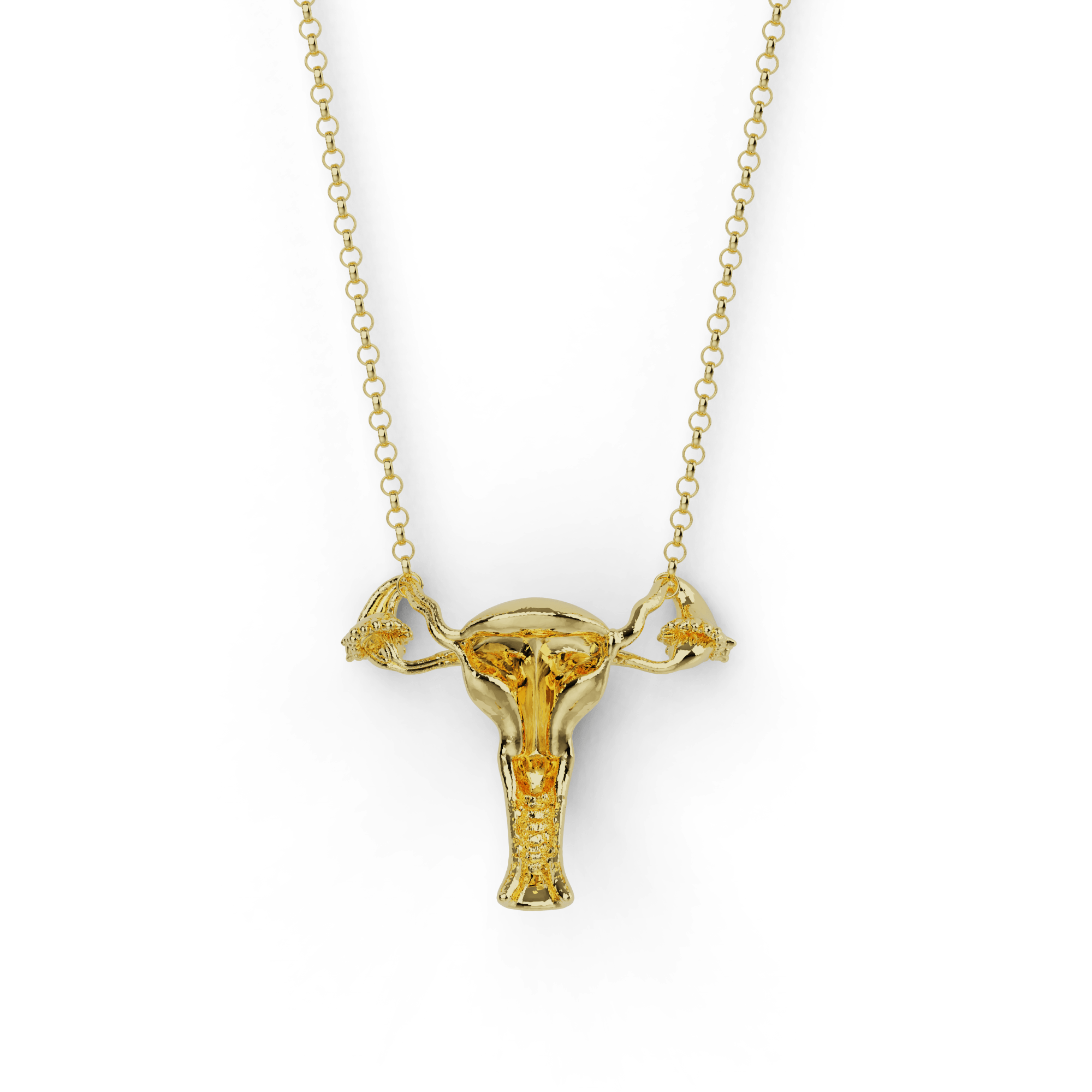 Elegant gold vermeil uterus necklace displayed on a white background. Elegant gold vermeil uterus necklace displayed on a white background.