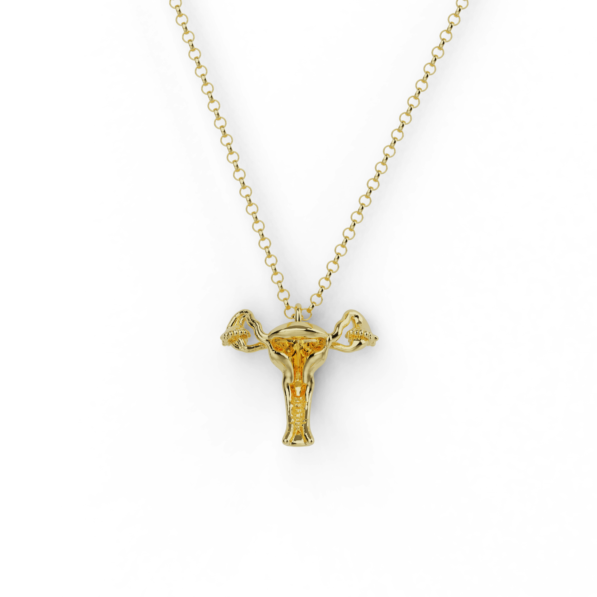 Gold vermeil uterus necklace featuring a detailed anatomical design, suspended from a delicate chain. A unique science-inspired jewelry piece. Gold vermeil uterus necklace featuring a detailed anatomical design, suspended from a delicate chain. A unique science-inspired jewelry piece.