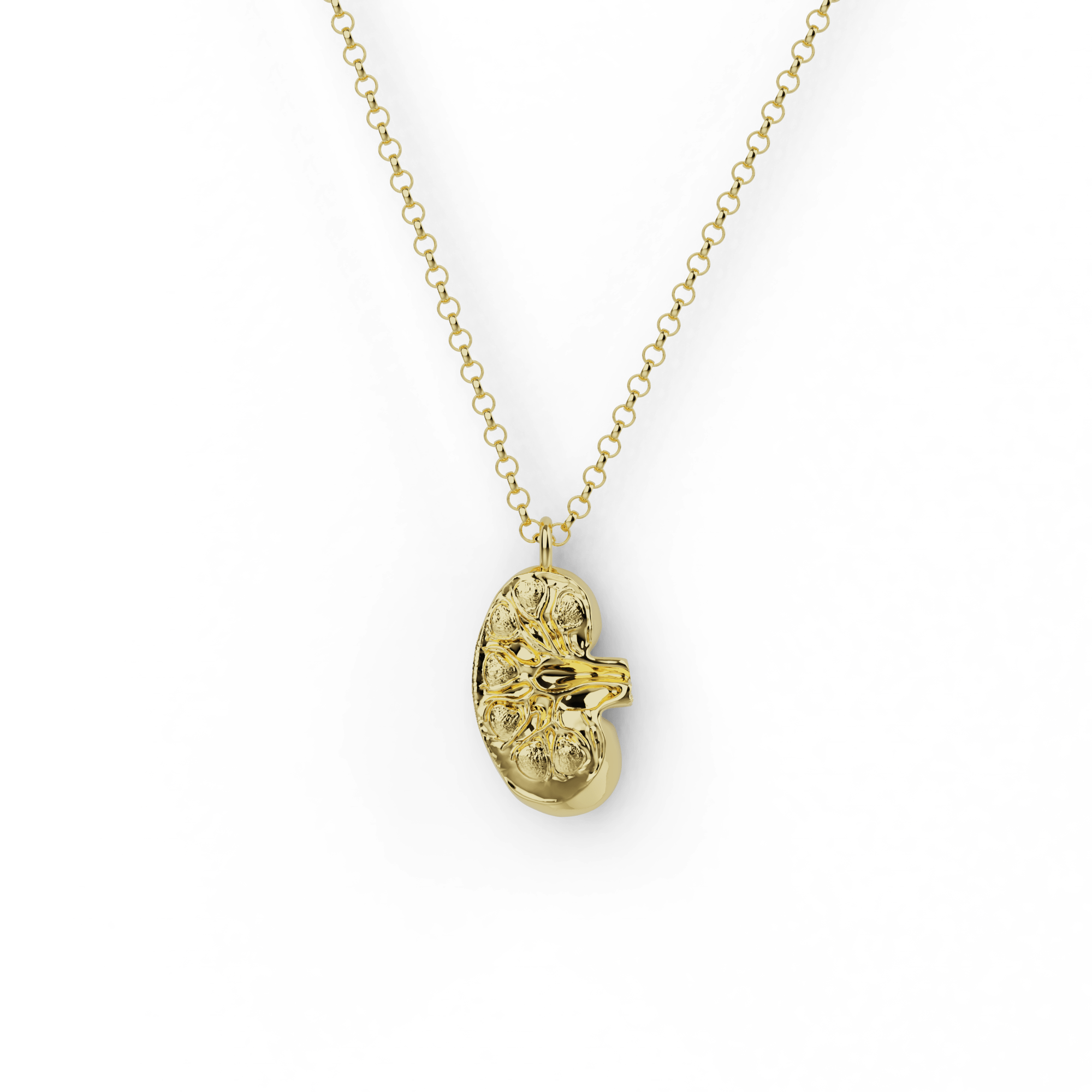 Gold Vermeil Kidney Necklace with intricate kidney design, perfect for science lovers. Gold Vermeil Kidney Necklace with intricate kidney design, perfect for science lovers.