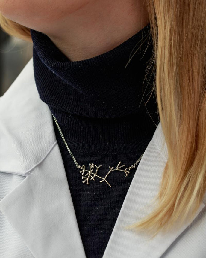 Person wearing the Darwin’s phylogenetic tree necklace, showcasing the detailed silver branches representing the evolution of species. Person wearing the Darwin’s phylogenetic tree necklace, showcasing the detailed silver branches representing the evolution of species.