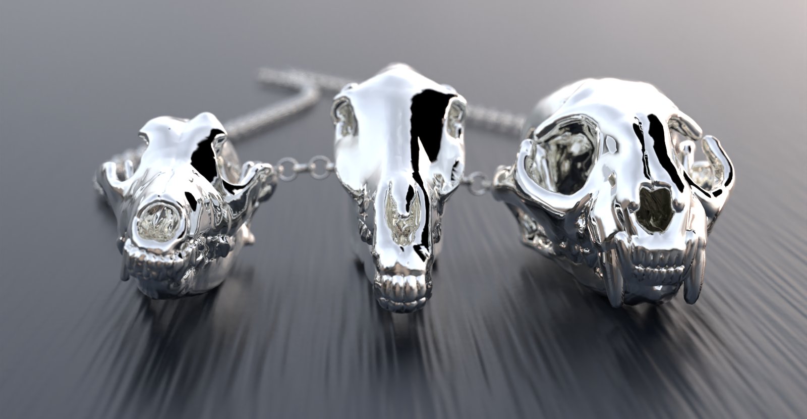 Animal skulls & bones