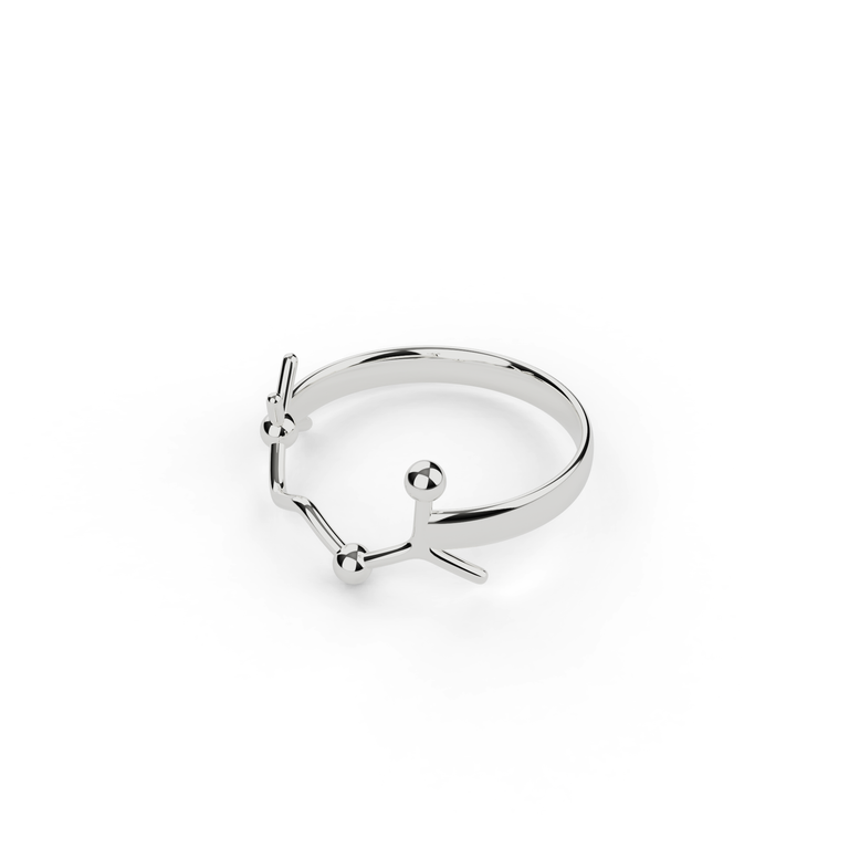 acetylcholine ring | silver