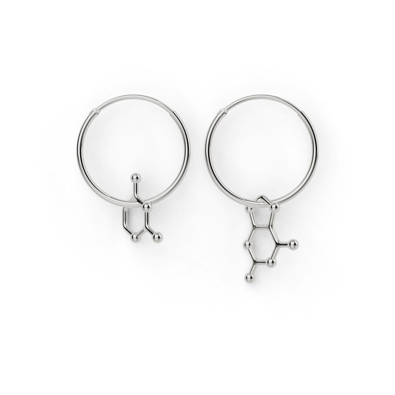 cytosine - guanine earrings | silver