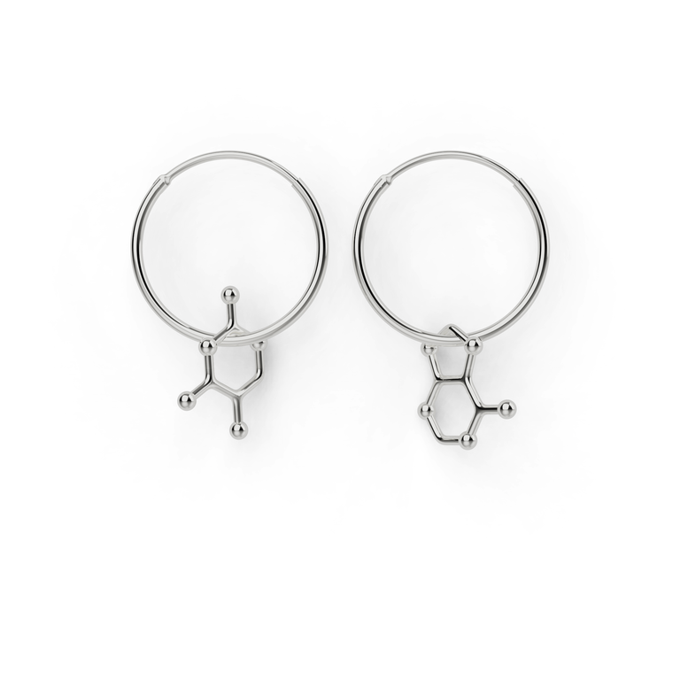 adenine - thymine earrings | silver