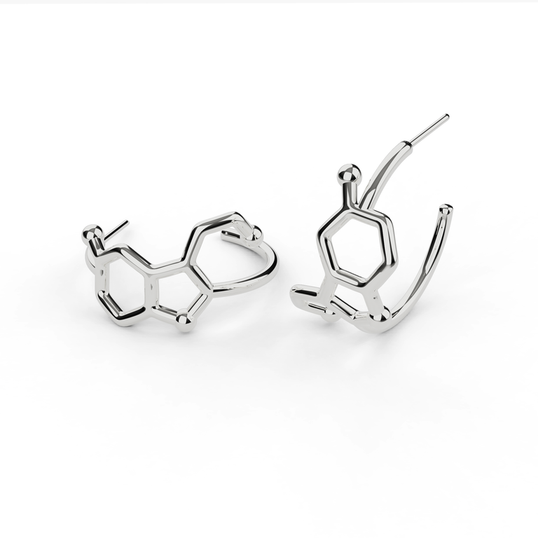 serotonin earring hoops | silver