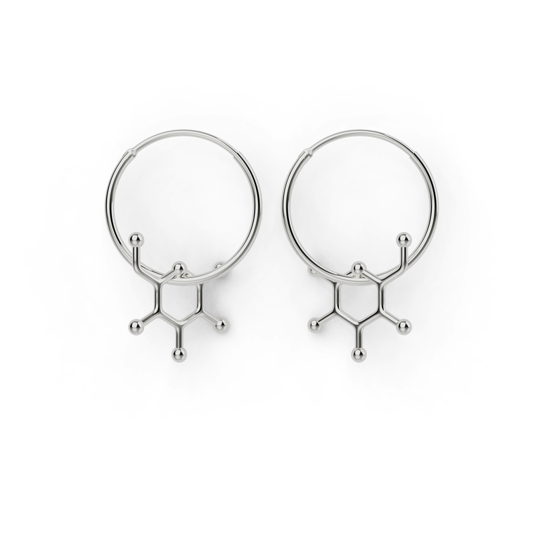 glucose earrings | silver