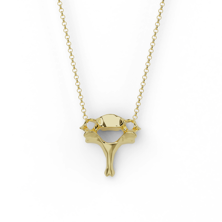 Vermeil gold cervical vertebra necklace showing anatomically accurate vertebra charm – science-inspired jewelry