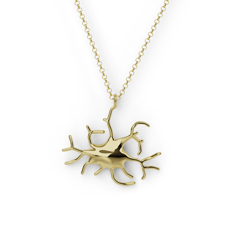 Vermeil gold melanocyte necklace featuring star-like branching cell pendant, elegant biology-inspired jewelry.