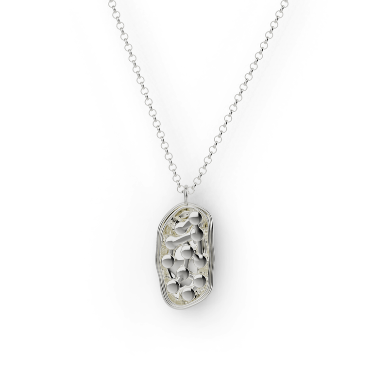 chloroplast necklace | silver